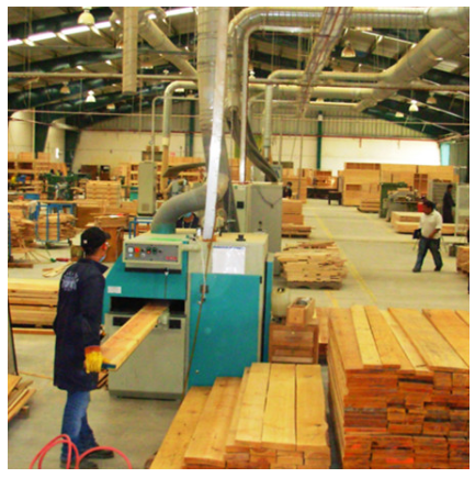 Hệ thống xử lý bụi gỗ - Thiết Bị Xử Lý Bụi TEP - Công Ty TNHH TEP